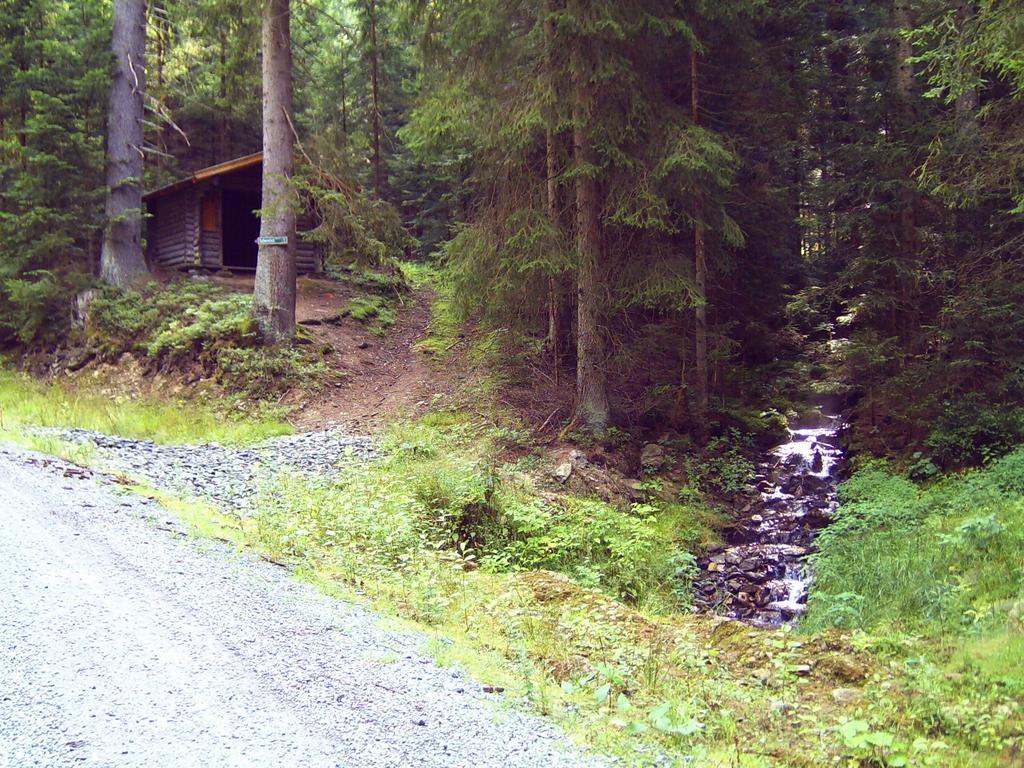 Ferienwohnung Reisinger Arnbruck Esterno foto